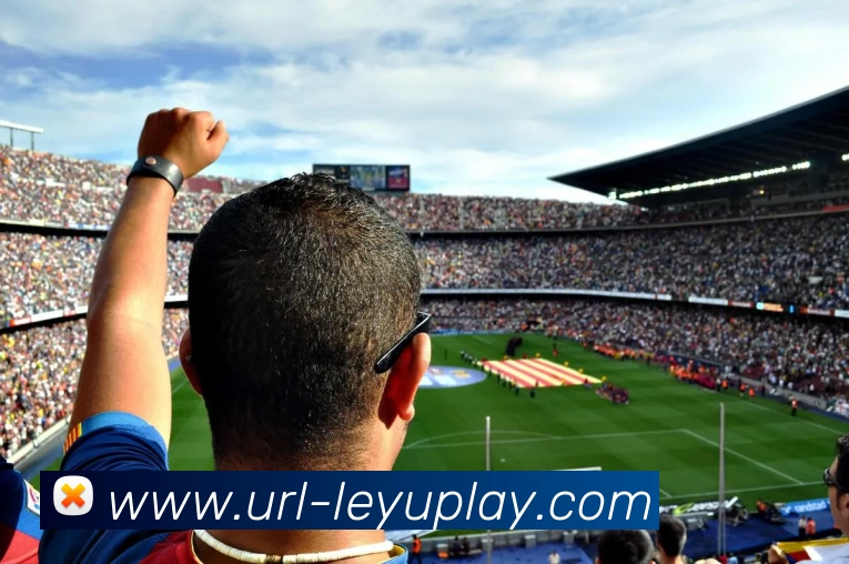 乐鱼体育平台生态图