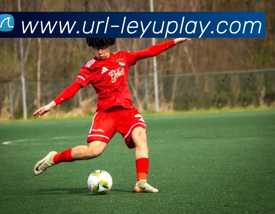 乐鱼体育全站App